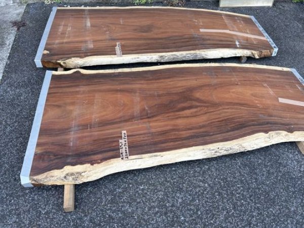 貴重銘木巨大モンキーポッド耳付板杢敷台カウンター材天板看板無垢板 