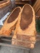 画像6: 401229 長ラ）銘木 杉 貴重 蟹杢 かにもく 椙板 すぎスギ 杢 一枚板 耳付板杢 敷台盤　カウンター材 天板 看板 無垢板 テーブル材（長さ2.04m前後位-1.35m前後位×厚み3.5cm前後位-2.5cm前後位×幅30cm前後位-24cm前後位） (6)