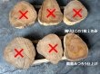 画像6: 700993 【残りあと1個】桜さくら 櫻 サクラ 輪切り丸太スライスDIY木工工芸インテリア（厚み約7-11.5cm前後位×直径約29-39cm前後位まで込み） (6)