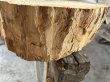 画像8: 701002 桜さくら 櫻 サクラ 輪切り丸太スライスDIY木工工芸インテリア（厚み約8.5-12cm前後位×幅約32cm前後位×36.5cm前後位） (8)