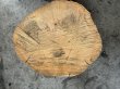 画像3: 701002 桜さくら 櫻 サクラ 輪切り丸太スライスDIY木工工芸インテリア（厚み約8.5-12cm前後位×幅約32cm前後位×36.5cm前後位） (3)