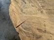 画像6: 701002 桜さくら 櫻 サクラ 輪切り丸太スライスDIY木工工芸インテリア（厚み約8.5-12cm前後位×幅約32cm前後位×36.5cm前後位） (6)