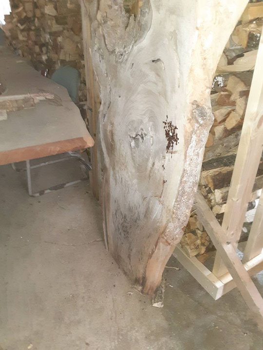 K166銘木 欅けやき 貴重 乾燥材 変木 テーブル材 無垢板天板一枚板木工工芸 - 3