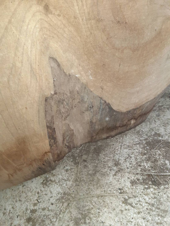 銘木 けやき欅ケヤキ 貴重 乾燥材 激安 変木 天板一枚板 テーブル 無垢板