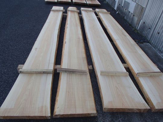 檜 桧ひのき 無垢 一枚板 看板用板 テーブル カウンター材 天板 耳付板 