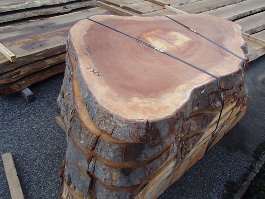 ス）銘木 けやき 欅 ケヤキ 巨大輪切 杢 敷台 盤 天板 看板 無垢板 